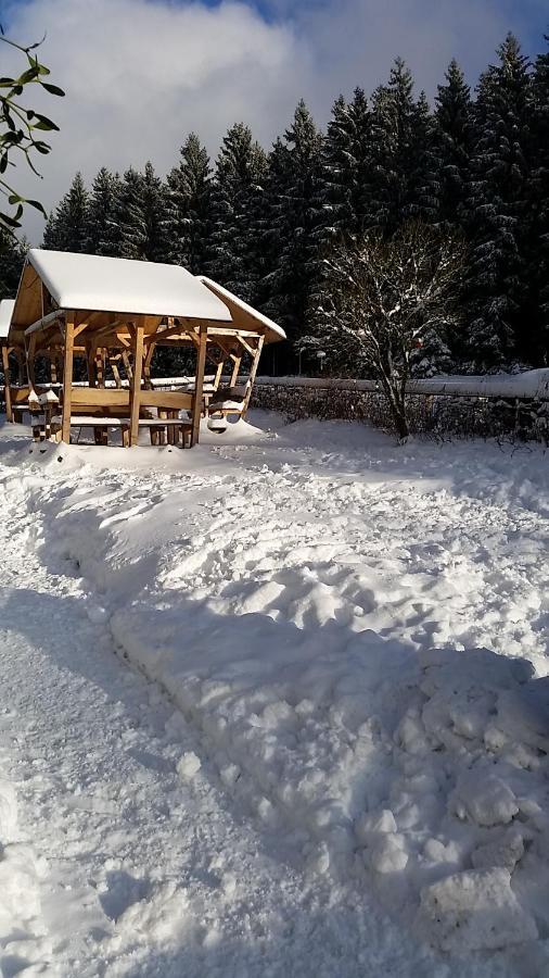 Pension Holl und Boll Am Hexenstieg. Hotell Clausthal-Zellerfeld Exteriör bild